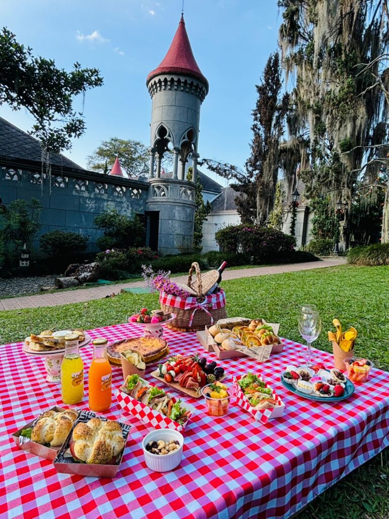 Picnic - Museo el Castillo