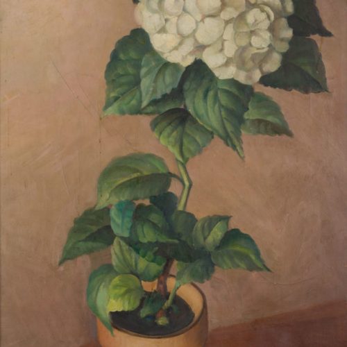 Hortensia, pinturas destacadas - Museo el Castillo
